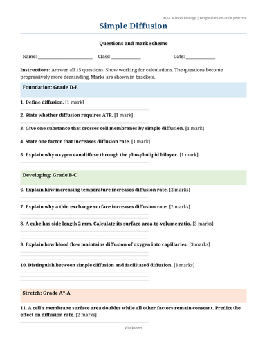 docx, 39.52 KB