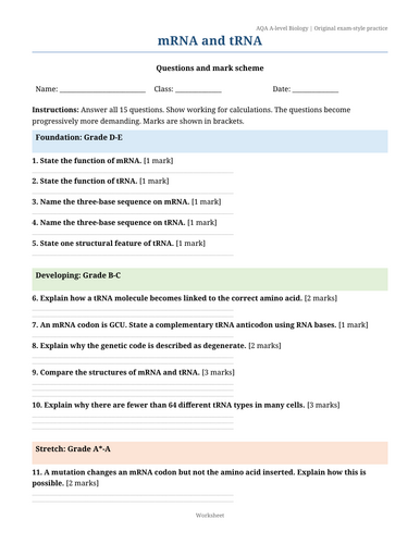 docx, 39.31 KB