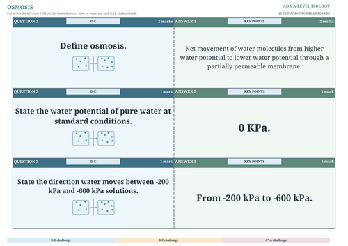docx, 67.29 KB