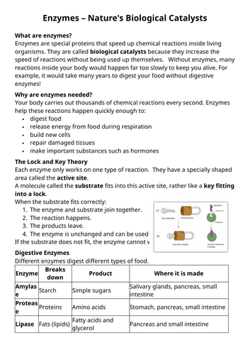 docx, 1.17 MB