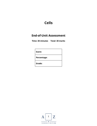 docx, 1.35 MB