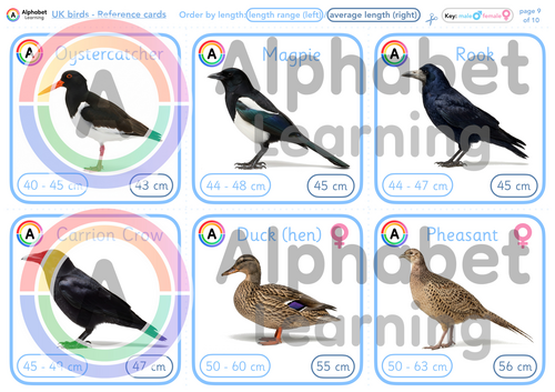 UK native bird species length measurement cards (60 birds) | EYFS, KS1 ...