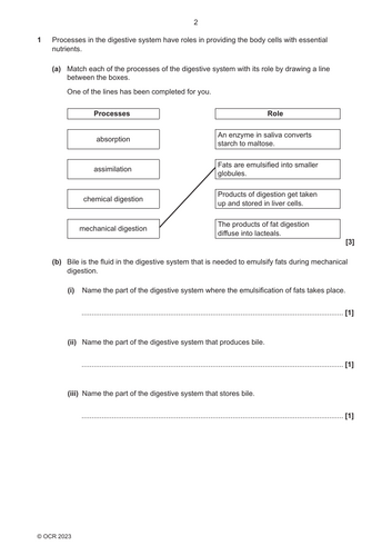 pdf, 131.92 KB