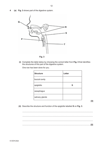 pdf, 158.55 KB