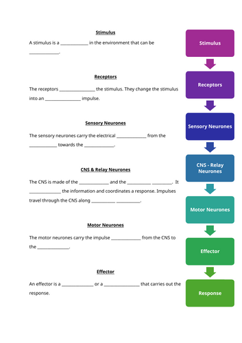 docx, 39.49 KB