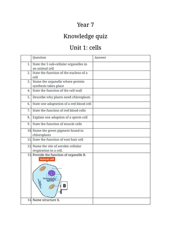 docx, 235.33 KB