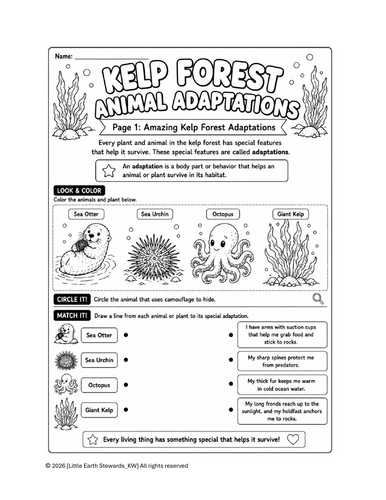 Kelp Forest Animal Adaptations | Ocean Science Coloring Worksheets ...