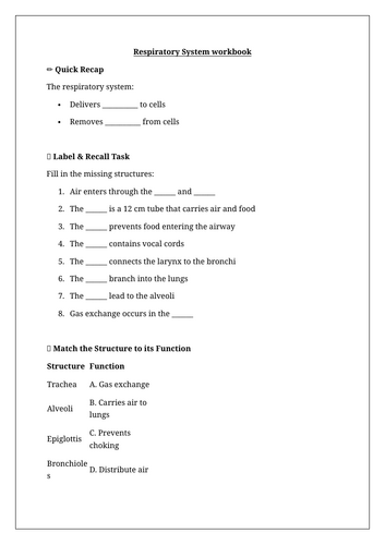 docx, 28.38 KB