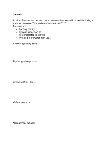 docx, 17.34 KB