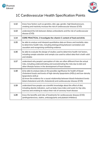 docx, 524.14 KB