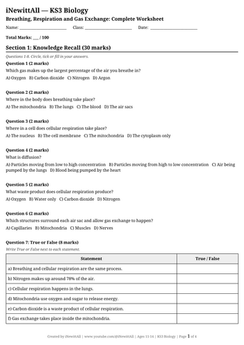 docx, 12.65 KB