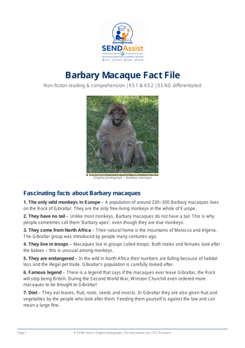 pdf, 704.44 KB