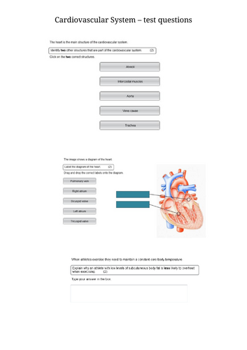 docx, 791.78 KB