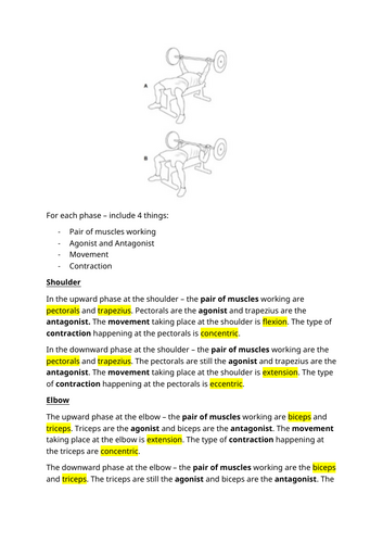 docx, 41.99 KB