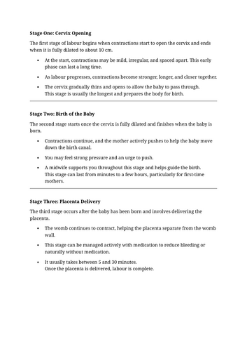 docx, 15.55 KB