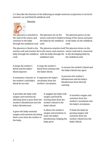 docx, 114.5 KB