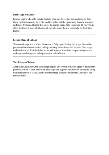 docx, 13.82 KB