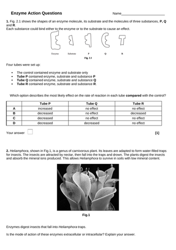 docx, 162.05 KB