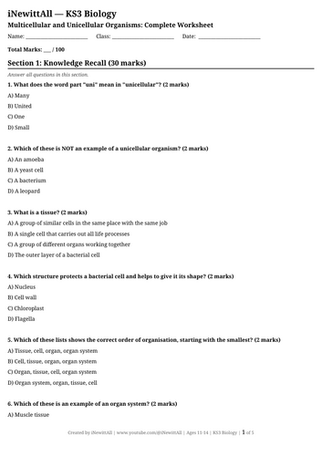 docx, 12.84 KB