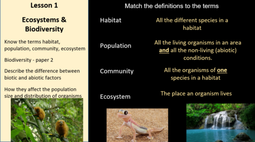 Edexcel IGCSE Biology 9–1 Unit 4: Ecology & the Environment – 11 Complete Lessons (140+ Slides)