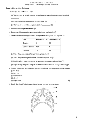 pdf, 266.79 KB
