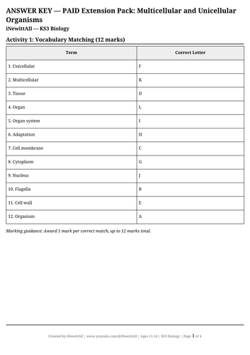 docx, 12.79 KB