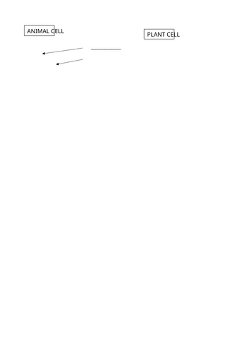 docx, 129.24 KB