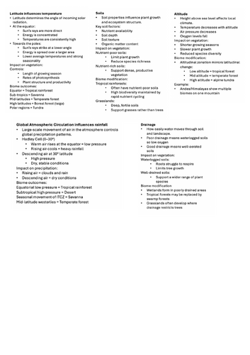 docx, 518.57 KB