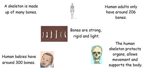 png, 260.24 KB
