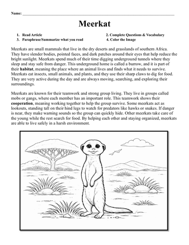 pdf, 295.03 KB