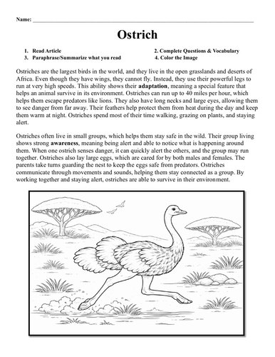 pdf, 328.49 KB