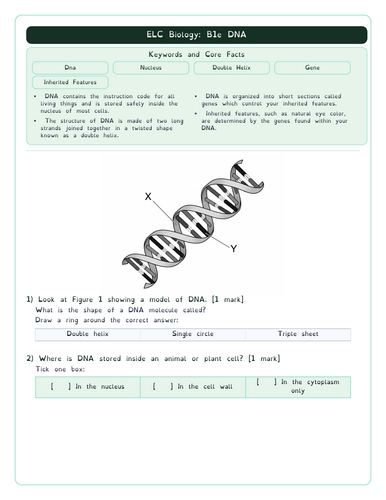 pdf, 618.38 KB