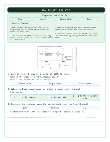 pdf, 223.82 KB