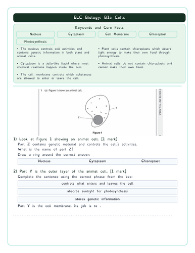 pdf, 169.4 KB