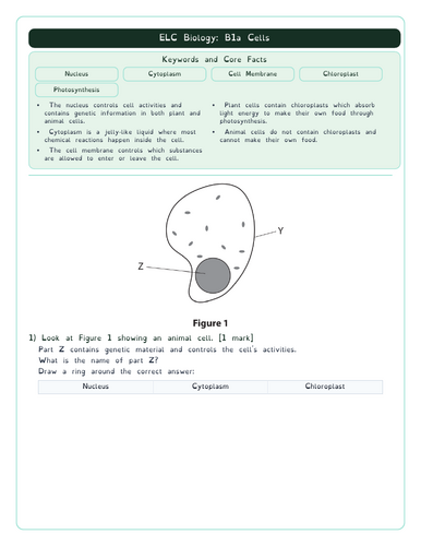 pdf, 195.83 KB