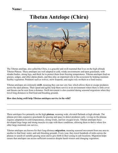 pdf, 154.99 KB