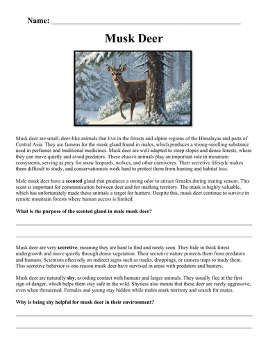 pdf, 162.07 KB