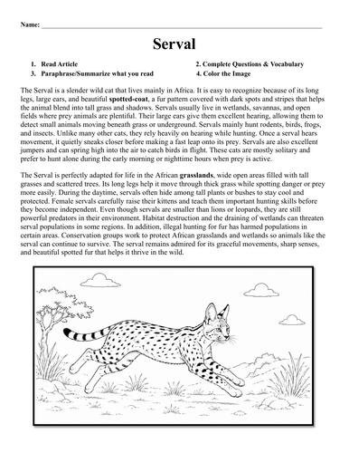pdf, 296.43 KB