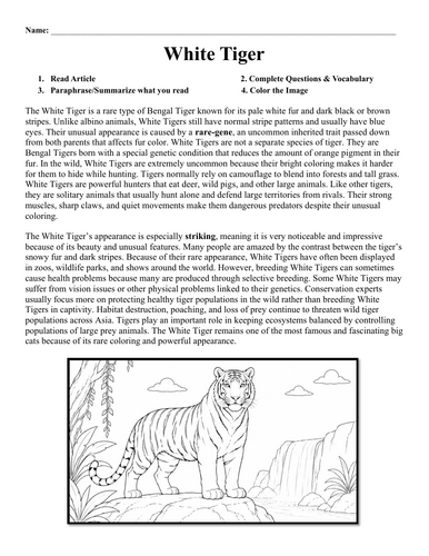 pdf, 224.02 KB