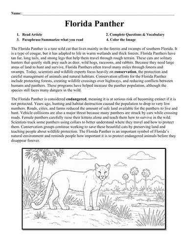 pdf, 355.06 KB