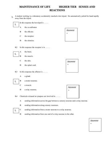 doc, 197.5 KB