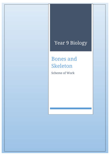 docx, 45.29 KB