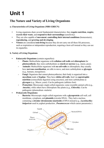 pdf, 1.23 MB