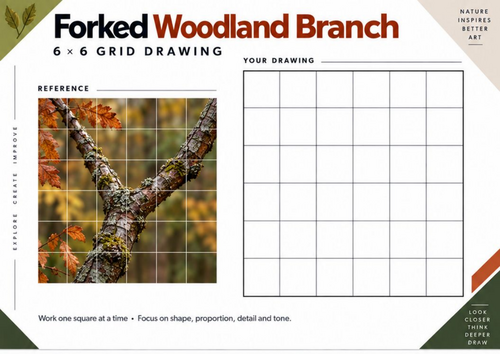 Forked Woodland Branch Grid Drawing Worksheet | Observational Drawing ...
