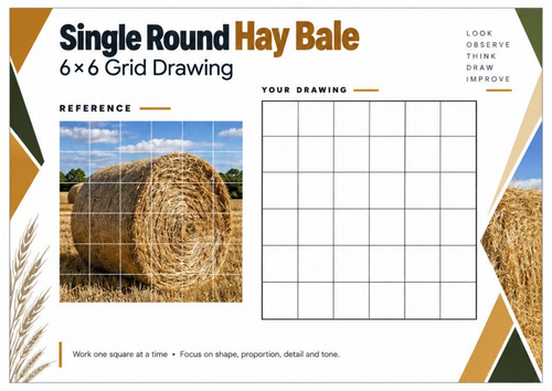 Single Round Hay Bale Grid Drawing Worksheet | Farm & Countryside Art ...