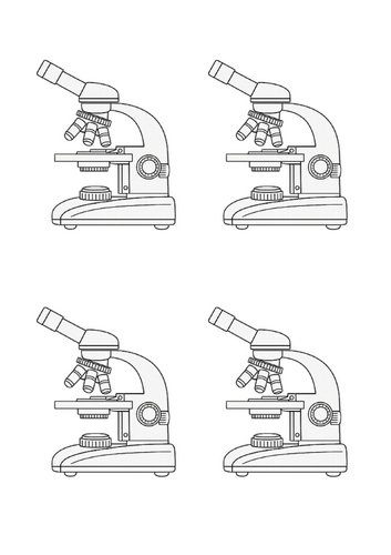 docx, 517.46 KB