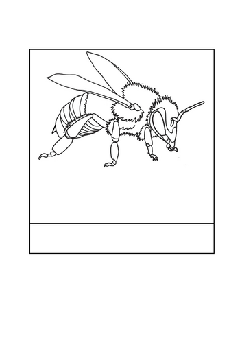docx, 490.87 KB