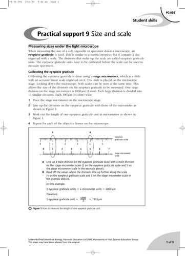 pdf, 63.3 KB
