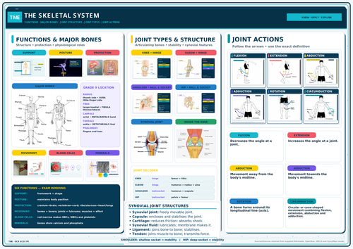 Free sample TME GCSE PE Structure and Function of the Skeletal System ...