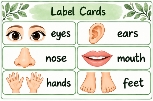 Body Parts – Visual Vocabulary & Labelling Resources | EYFS / SEND ...